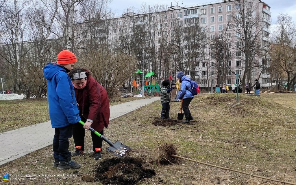 В Рублёво прошёл воскресник по посадке деревьев на Советской. 16