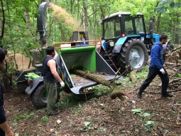 Начались работы по измельчению сухостоя в нашем лесу - нужна помощь жителей!