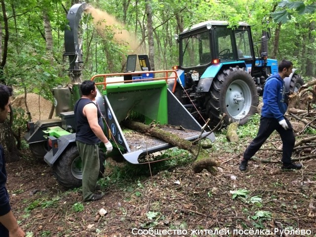 Начались работы по измельчению сухостоя в нашем лесу - нужна помощь жителей!