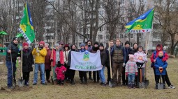 В Рублёво прошёл воскресник по посадке деревьев на Советской.