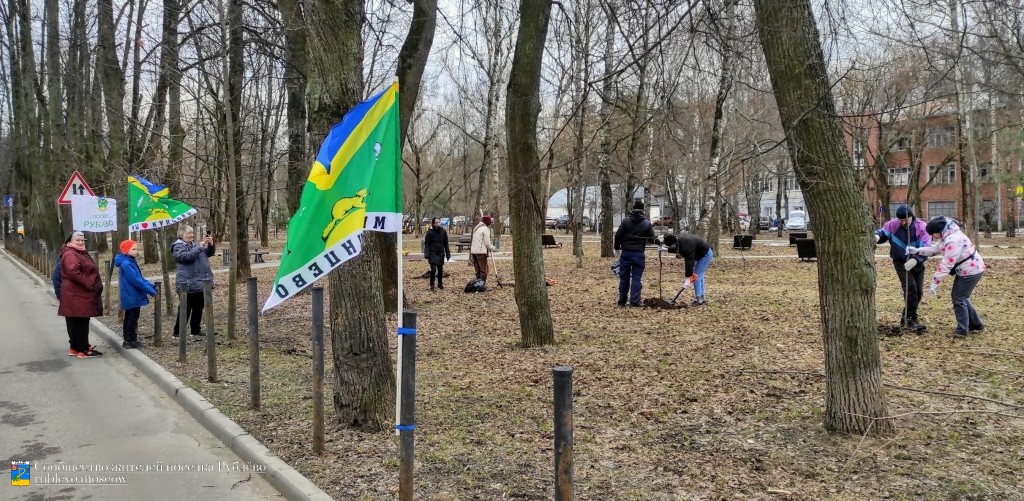 В Рублёво прошёл воскресник по посадке деревьев на Советской. 0