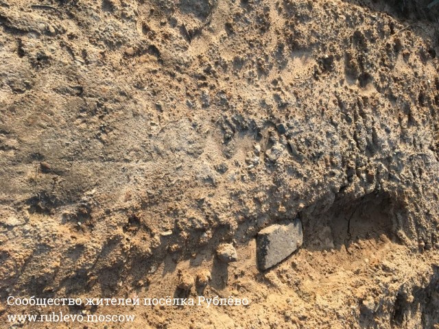 Очистка береговой зоны и раздельный сбор мусора! 5