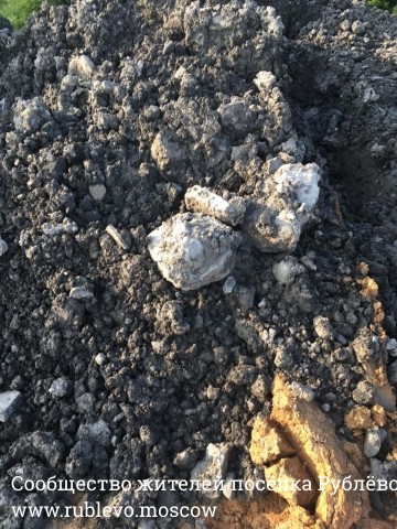 Очистка береговой зоны и раздельный сбор мусора! 17